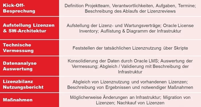 Ablauf Oracle Lizenz Audit